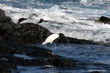 Un paseo con ensoñación en el inicio del verano por la costa de Telde (Reportaje gráfico Jesús Ruiz Mesa)